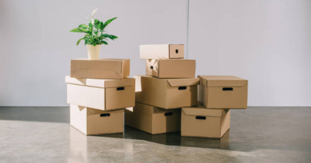 How Can Help a Product Packaging Company Grow Your business?